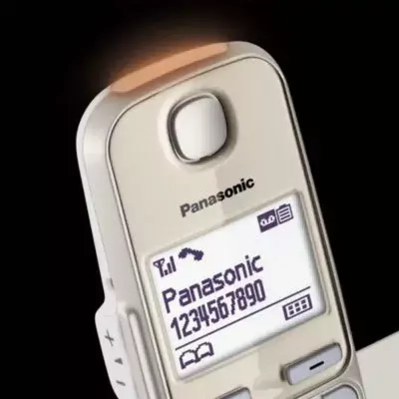 Telefono DECT Panasonic KX-TGE262GN con microtelefono cordless e identificazione chiamante