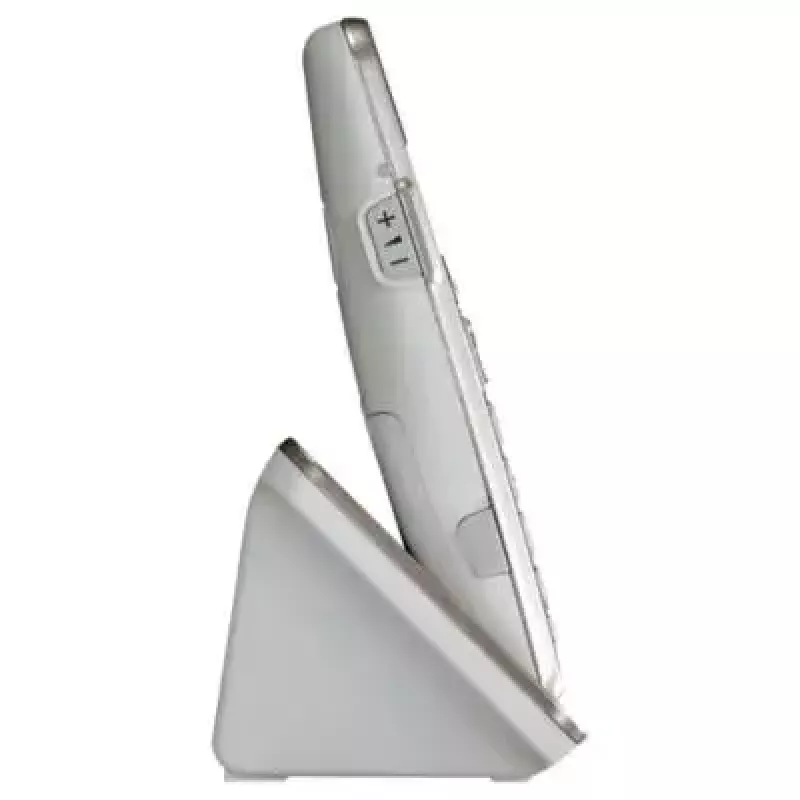 Telefono DECT Panasonic KX-TGE262GN con microtelefono cordless e identificazione chiamante