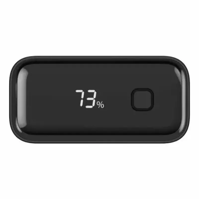 Batteria portatile Ansmann PB222PD 20000 mAh