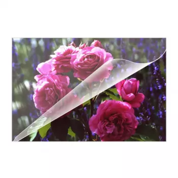 Pellicole per laminazione Olympia 9165