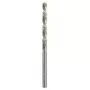 Punta elicoidale Bosch punta per metallo HSS-G DIN 338 4 mm 2 pezzi