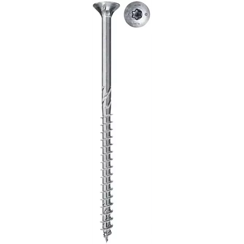Vite/bullone Fischer 670169