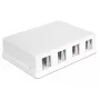DeLOCK 86208 Scatola Keystone da superficie, 4 porte, bianco