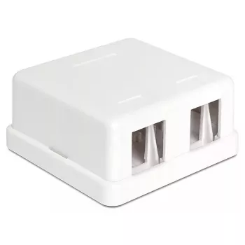 DeLOCK 86207 Scatola Keystone da superficie vuota, 2 porte, bianco