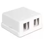 DeLOCK 86207 Scatola Keystone da superficie vuota, 2 porte, bianco