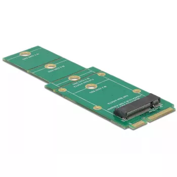 Adattatore mSATA interno DeLOCK 62592