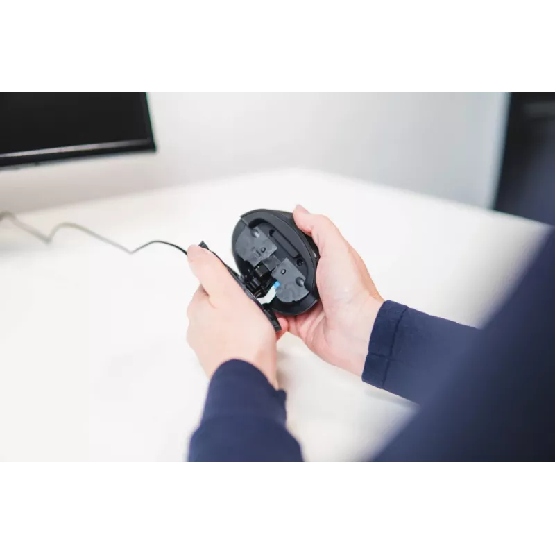 Mouse wireless BakkerElkhuizen Oyster Mouse