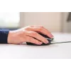 Mouse wireless BakkerElkhuizen Oyster Mouse