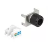 Modulo keystone RJ45 femmina su LSA DeLOCK 87036