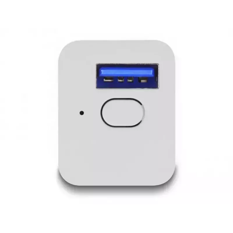 Presa smart DeLOCK 11828 per interni Wi-Fi 2 A bianco