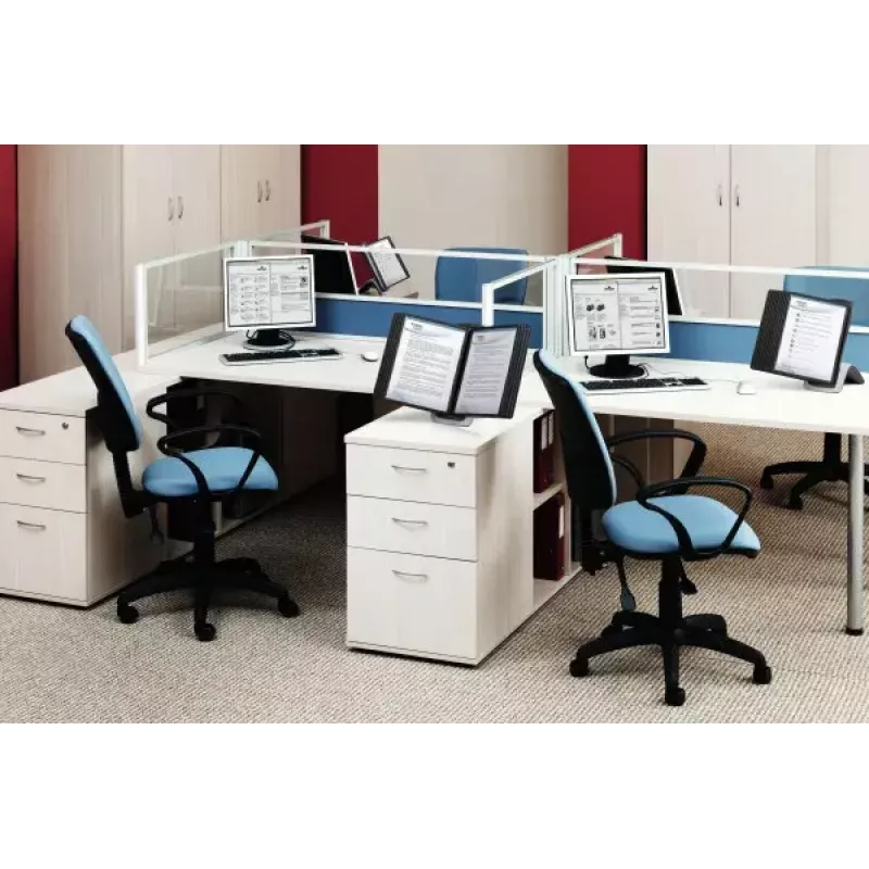 Carosello espositivo documenti Durable Sherpa Style Table 10 supporto da scrivania per 10 pannelli A4