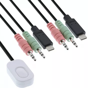 InLine KVM switch, 2 porte, USB-C su DisplayPort 1.2, 4K, audio, cavo integrato