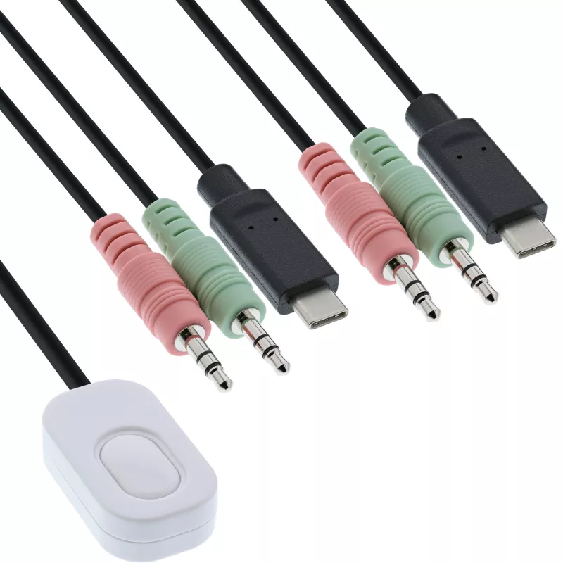 InLine KVM switch, 2 porte, USB-C su DisplayPort 1.2, 4K, audio, cavo integrato