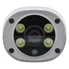 InLine SmartHome Telecamera HD per esterni con luce LED, IP66