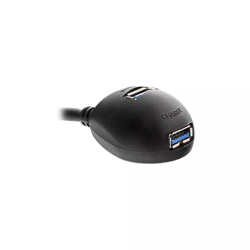 InLine Cavo USB 3.2 Gen.1 connettore maschio USB Type-A / A connettore femmina + alimentazione, con supporto, nero, 1 m