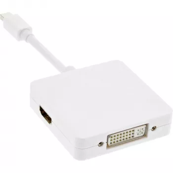 Cavo adattatore InLine Mini DisplayPort a HDMI DVI DisplayPort 17195I