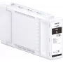 Cartuccia Epson Singlepack UltraChrome XD2 C13T41F540 nero