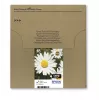 Cartuccia Epson T1806 Easy Mail Packaging nero giallo ciano magenta