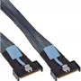 Cavo InLine 27661A Serial Attached SCSI (SAS) 0,5 m 24 Gbit/s nero, blu, grigio