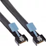 Cavo InLine 27662C Serial Attached SCSI (SAS) 1 m 24 Gbit/s nero, blu, grigio