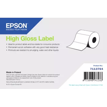 Rotolo di etichette adesive lucide Epson 203 mm x 60 m (continuo, fustellato)