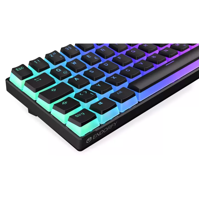Tastiera da gaming ENDORFY Thock Compact RF wireless USB QWERTZ 61 tasti RGB LED
