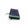 Tastiera da gaming ENDORFY Thock Compact RF wireless USB QWERTZ 61 tasti RGB LED