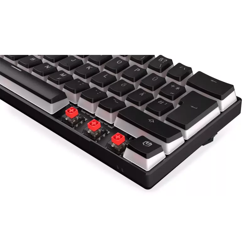 Tastiera da gaming ENDORFY Thock Compact RF wireless USB QWERTZ 61 tasti RGB LED