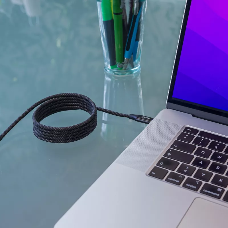 Cavo USB-C magnetico InLine, USB-C maschio/maschio, 100W, nero, 2m