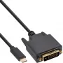 Cavo display USB InLine, USB-C maschio / DVI maschio (DP Alt Mode), nero, 2 m