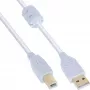 Cavo InLine USB 2.0 Type-A maschio / B maschio placcato oro con ferrite bianco 3 m