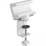 Supporto per ciabatta InLine 23193W girevole morsetto a vite bianco