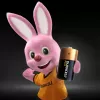 Batteria monouso Duracell Plus C alcalina