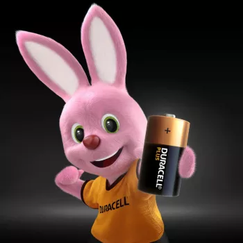 Batteria monouso Duracell Plus C alcalina
