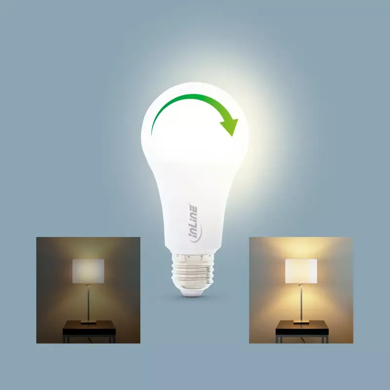 Lampada LED InLine SmartHome RGB E27, 900LM
