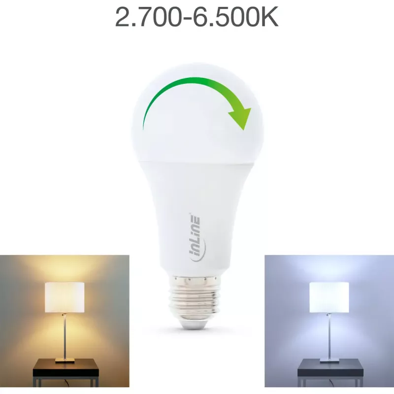 Lampada LED InLine SmartHome RGB E27, 900LM