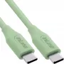 Cavo USB InLine 35891G 1 m USB-C verde USB 2.0 0,48 Gbit/s