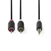 Cavo audio Nedis CABW22200AT20 2 m 3,5 mm 2 x RCA antracite