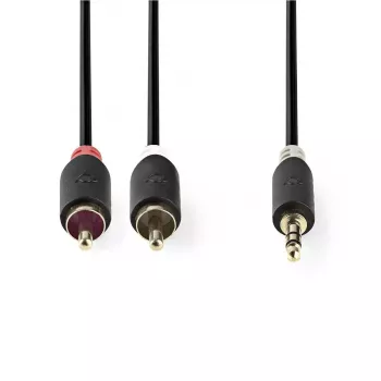 Cavo audio Nedis CABW22200AT20 2 m 3,5 mm 2 x RCA antracite