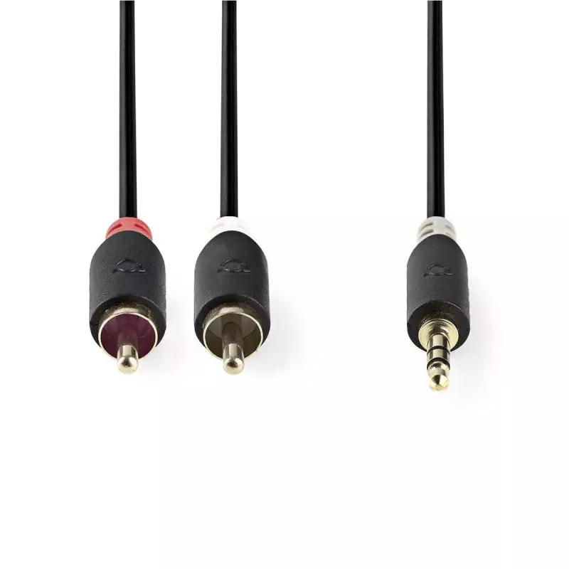 Cavo audio Nedis CABW22200AT20 2 m 3,5 mm 2 x RCA antracite