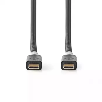 Cavo USB Nedis CCBW64020AT20 USB4 Gen 2x2 2 m USB C nero argento