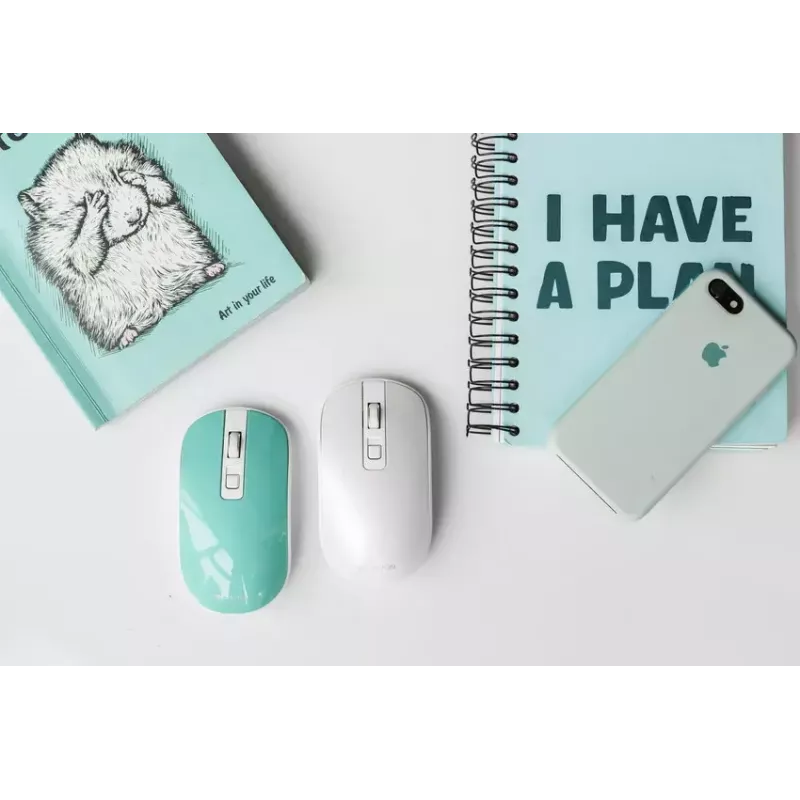 Mouse Canyon CNS-CMSW18A RF wireless ottico