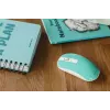 Mouse Canyon CNS-CMSW18A RF wireless ottico