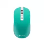 Mouse Canyon CNS-CMSW18A RF wireless ottico