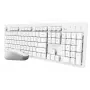 Trust Ody II tastiera mouse inclusi Home/Office RF wireless tedesco bianco