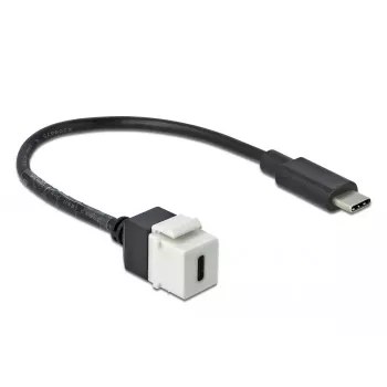 Modulo Keystone DeLOCK 86399 piatto nero bianco USB-C