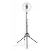 Ring light Hama SpotLight Steady 120 III 160 LED 1020 lm 3000 K