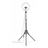 Ring light Hama SpotLight Steady 120 III 160 LED 1020 lm 3000 K