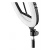 Ring light Hama SpotLight Steady 120 III 160 LED 1020 lm 3000 K