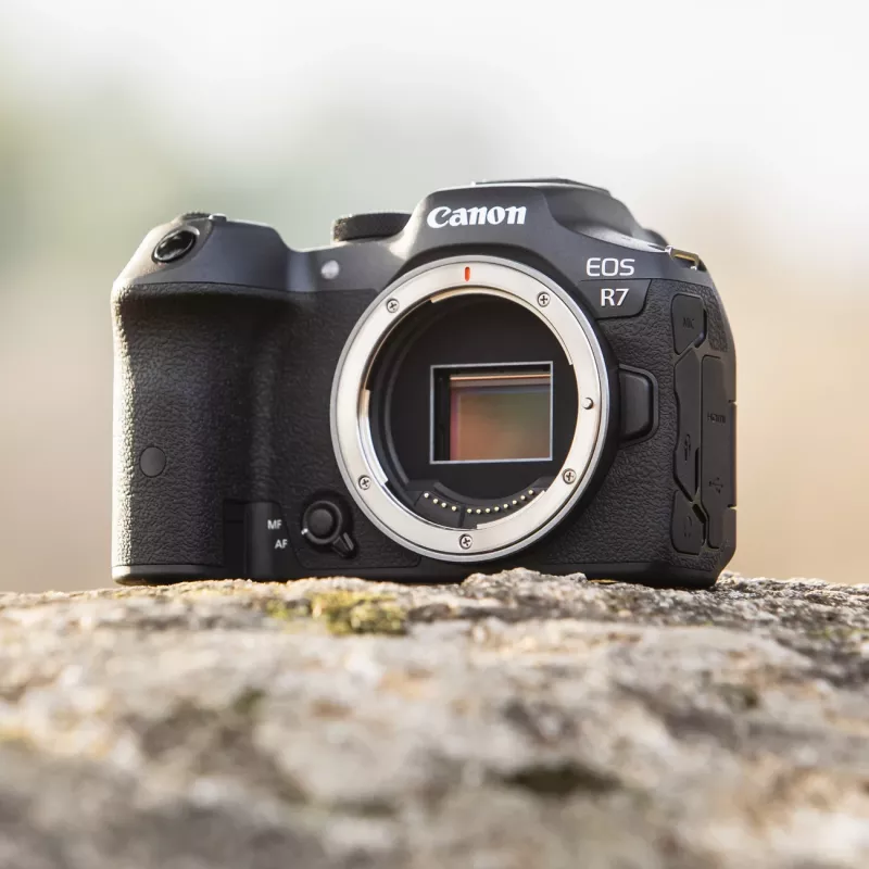 Fotocamera mirrorless Canon EOS R7 corpo 32,5 MP CMOS 6960 x 4640 pixel nero